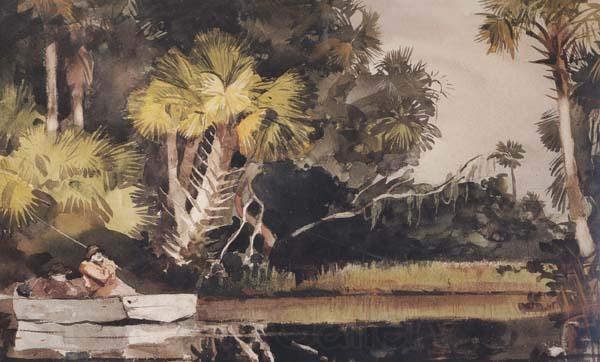 Winslow Homer Homosassa Jungle (mk44) France oil painting art
